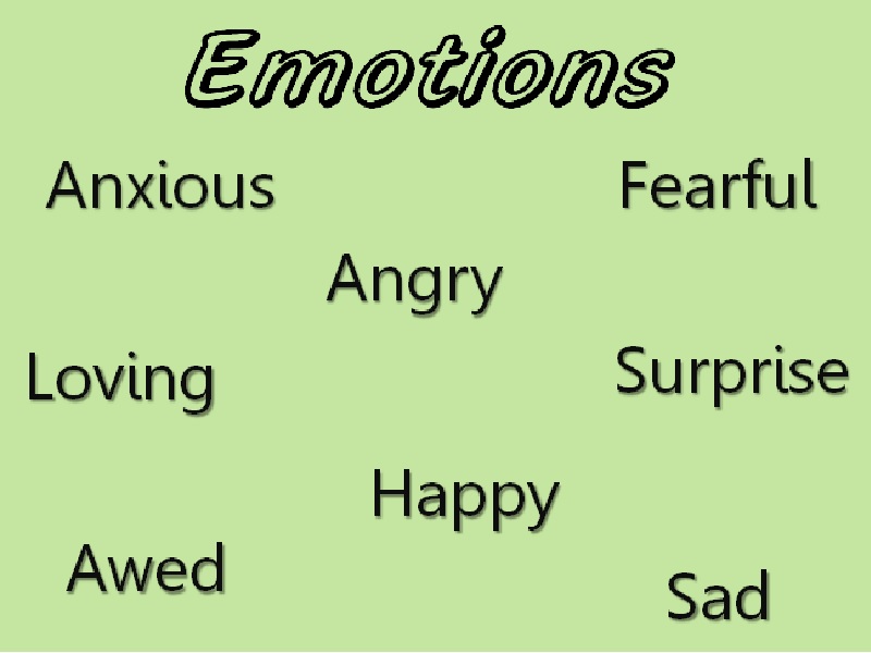 احساسات و انواع واکنش های عاطفی